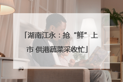 湖南江永：抢“鲜”上市 供港蔬菜采收忙